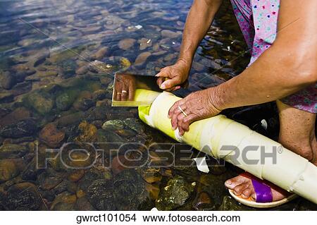 Woman cutting banana shoot at riverside, Li River, XingPing, Yangshuo, Guangxi Province, China View Large Photo Image Picture - Woman cutting banana shoot at riverside, Li River, XingPing, Yangshuo, Guangxi Province, China. Fotosearch