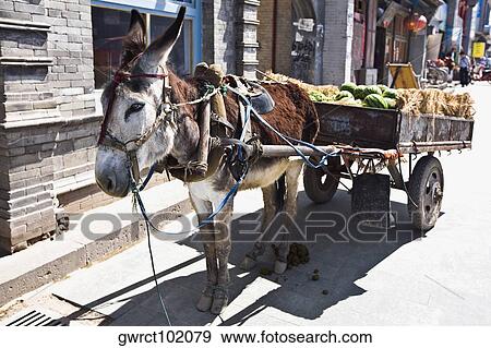 Donkey cart in a street, HohHot, Inner Mongolia, China View Large Photo Image Stock Photo - Donkey cart in a street, HohHot, Inner Mongolia, China. Fotosearch