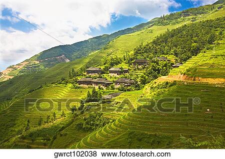 Stock Photo - High angle view of terraced rice fields, Jinkeng Terraced Field, Guangxi Province, China. Fotosearch