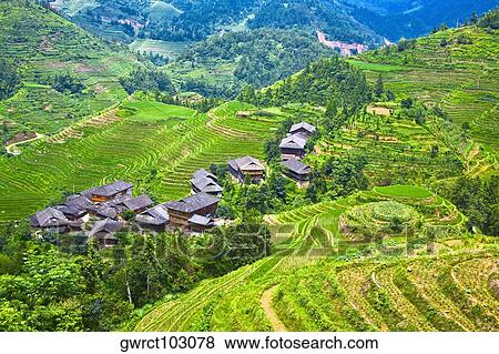 High angle view of terraced field, Jinkeng Terraced Field, Guangxi Province, China View Large Photo Image Stock Photo - High angle view of terraced field, Jinkeng Terraced Field, Guangxi Province, China. Fotosearch