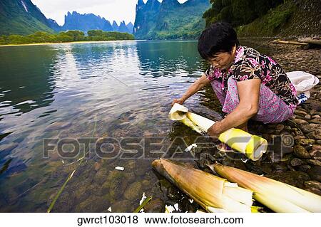Mature woman peeling banana shoots at riverside, Li River, XingPing, Yangshuo, Guangxi Province, China View Large Photo Image Stock Photo - Mature woman peeling banana shoots at riverside, Li River, XingPing, Yangshuo, Guangxi Province, China. Fotosearch