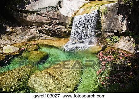 Waterfall in a forest, Emerald Valley, Huangshan, Anhui Province, China View Large Photo Image Stock Photo - Waterfall in a forest, Emerald Valley, Huangshan, Anhui Province, China. Fotosearch