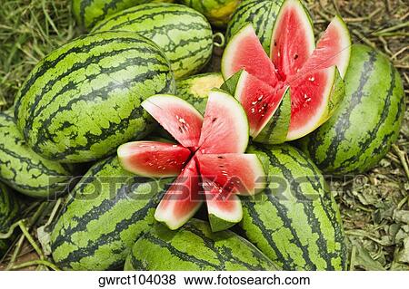 Stock Photo - Close-up of watermelons, Zhigou, Shandong Province, China. Fotosearch