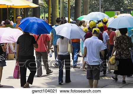 Tourists walking in the park, Xiangjiang Safari Park, Guangzhou, Guangdong Province, China View Large Photo Image Stock Image - Tourists walking in the park, Xiangjiang Safari Park, Guangzhou, Guangdong Province, China. Fotosearch