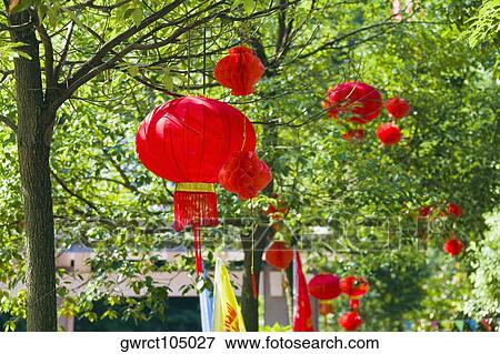 Chinese lanterns hanging on trees, Emerald Valley, Huangshan, Anhui Province, China View Large Photo Image Stock Photo - Chinese lanterns hanging on trees, Emerald Valley, Huangshan, Anhui Province, China. Fotosearch