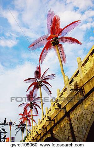 Low angle view of fan palm trees, Guilin, Guangxi Province, China View Large Photo Image Stock Image - Low angle view of fan palm trees, Guilin, Guangxi Province, China. Fotosearch