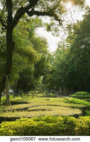 Trees and plants in a formal garden, Shamian Island, Guangzhou, Guangdong Province, China View Large Photo Image Stock Photo - Trees and plants in a formal garden, Shamian Island, Guangzhou, Guangdong Province, China. Fotosearch