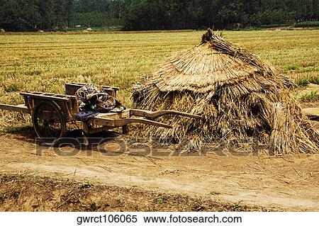 Cart near a haystack in a field, Zhigou, Shandong Province, China View Large Photo Image Stock Photography - Cart near a haystack in a field, Zhigou, Shandong Province, China. Fotosearch