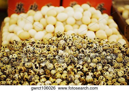 Quail eggs at a market stall, Tai'an, Shandong Province, China View Large Photo Image Stock Photograph - Quail eggs at a market stall, Tai'an, Shandong Province, China. Fotosearch