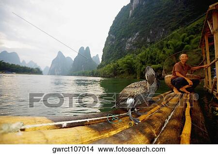 Fisherman on a bamboo raft, Guilin Hills, XingPing, Yangshuo, Guangxi Province, China View Large Photo Image Picture - Fisherman on a bamboo raft, Guilin Hills, XingPing, Yangshuo, Guangxi Province, China. Fotosearch
