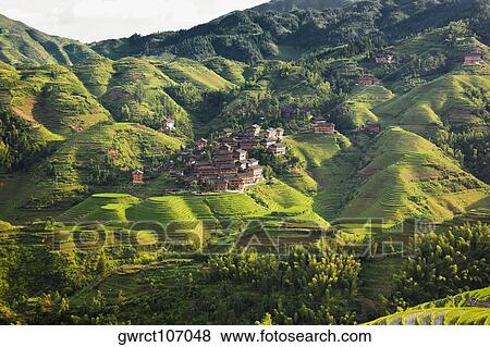 High angle view of houses in a village, Jinkeng Terraced Field, Guangxi Province, China View Large Photo Image Stock Photo - High angle view of houses in a village, Jinkeng Terraced Field, Guangxi Province, China. Fotosearch