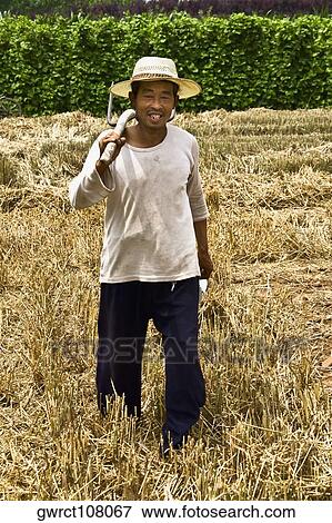 Stock Photo - Mature man holding pitchfork in a field, Zhigou, Shandong Province, China. Fotosearch