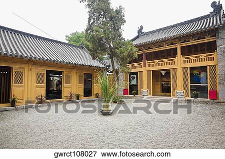Potted plant in a courtyard, Shaolin Monastery, Henan Province, China View Large Photo Image Stock Photo - Potted plant in a courtyard, Shaolin Monastery, Henan Province, China. Fotosearch