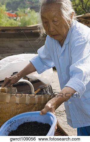 Stock Photograph - Senior woman holding a container of mustard seeds, Emerald Valley, Huangshan, Anhui Province, China. Fotosearch