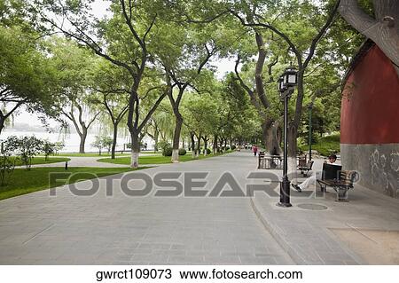 Trees along a road, Beihai Park, Beijing, China View Large Photo Image Stock Image - Trees along a road, Beihai Park, Beijing, China. Fotosearch