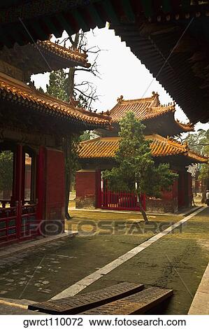 Tree in front of a pagoda, Thirteen Tablet Pavilions, Temple of Confucius, Qufu, Shandong Province, China View Large Photo Image Stock Image - Tree in front of a pagoda, Thirteen Tablet Pavilions, Temple of Confucius, Qufu, Shandong Province, China. Fotosearch