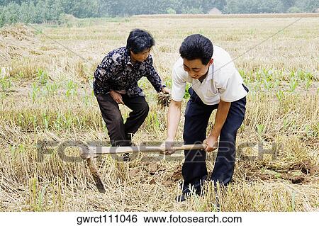 Stock Photograph - Farmers working in a field, Zhigou, Shandong Province, China. Fotosearch