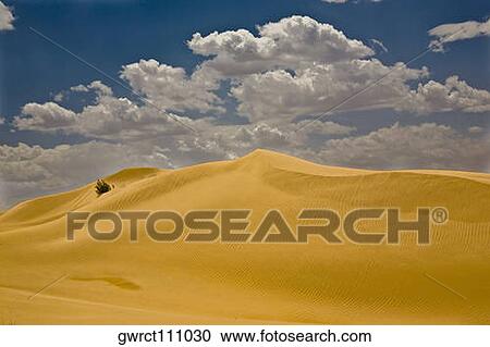 Sand dunes in a desert, Kubuqi Desert, Inner Mongolia, China View Large Photo Image Stock Image - Sand dunes in a desert, Kubuqi Desert, Inner Mongolia, China. Fotosearch