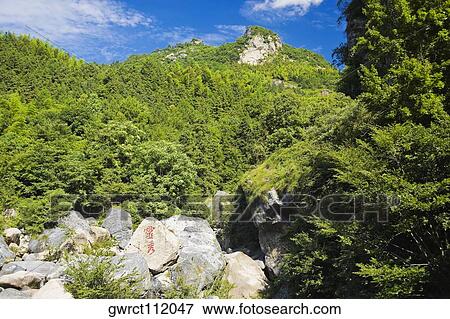 Trees on the hillside, Emerald Valley, Huangshan, Anhui Province, China View Large Photo Image Stock Photo - Trees on the hillside, Emerald Valley, Huangshan, Anhui Province, China. Fotosearch