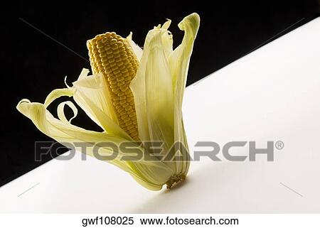 Close-up of a corncob View Large Photo Image Stock Photography - Close-up of a corncob. Fotosearch