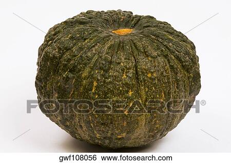 Close-up of a pumpkin View Large Photo Image Stock Photograph - Close-up of a pumpkin. Fotosearch