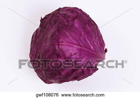 Close-up of a red cabbage View Large Photo Image Stock Photograph - Close-up of a red cabbage. Fotosearch