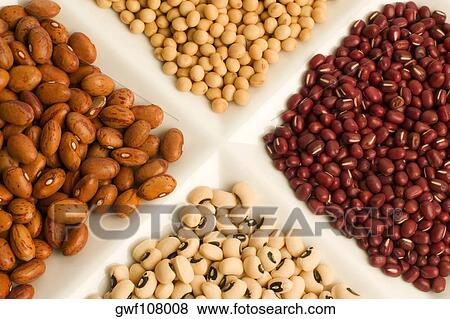Close-up of assorted beans View Large Photo Image Stock Photo - Close-up of assorted beans. Fotosearch