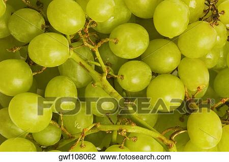 Close-up of grapes View Large Photo Image Stock Image - Close-up of grapes. Fotosearch