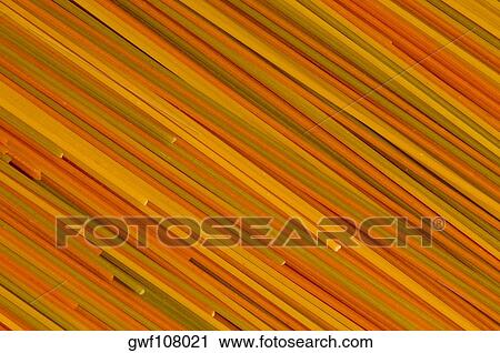 Close-up of multi-colored spaghettis View Large Photo Image Stock Image - Close-up of multi-colored spaghettis. Fotosearch