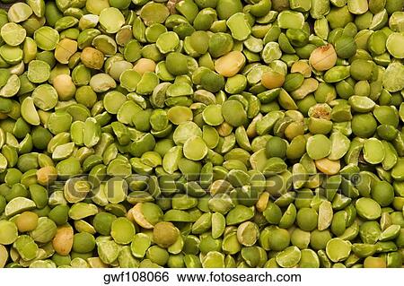 Stock Photograph - Close-up of pigeon peas. Fotosearch