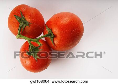 High angle view of three tomatoes View Large Photo Image Picture - High angle view of three tomatoes. Fotosearch
