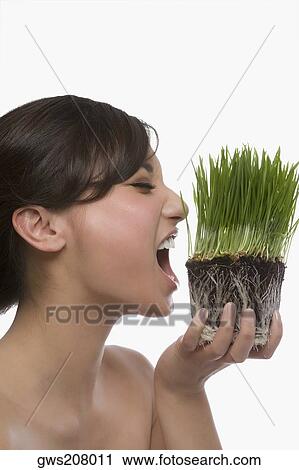 Close-up of a young woman eating wheatgrass View Large Photo Image Stock Image - Close-up of a young woman eating wheatgrass. Fotosearch