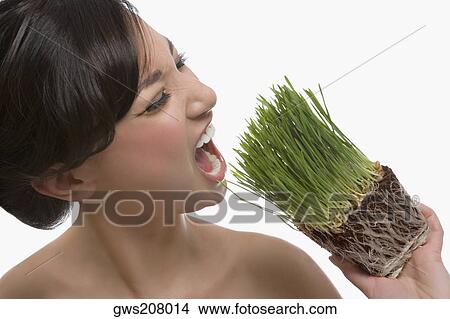 Close-up of a young woman trying to eat wheatgrass View Large Photo Image Picture - Close-up of a young woman trying to eat wheatgrass. Fotosearch