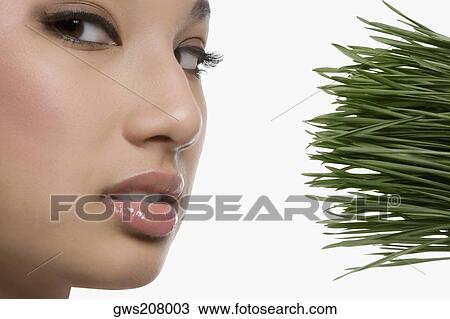 Close-up of a young woman with wheatgrass View Large Photo Image Stock Image - Close-up of a young woman with wheatgrass. Fotosearch