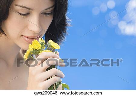 Close-up of a young woman holding a bunch of flowers and smelling View Large Photo Image Stock Photograph - Close-up of a young woman holding a bunch of flowers and smelling. Fotosearch
