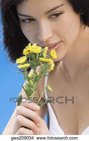 Close-up of a young woman smelling flowers View Large Photo Image Picture - Close-up of a young woman smelling flowers. Fotosearch