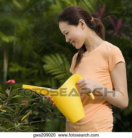 Young woman watering plant with a watering can and smiling View Large Photo Image Stock Image - Young woman watering plant with a watering can and smiling. Fotosearch