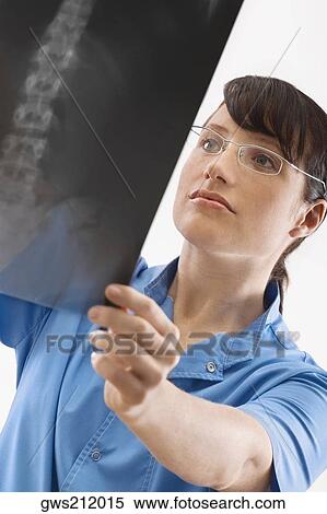 Female surgeon examining an X-Ray View Large Photo Image Stock Photography - Female surgeon examining an X-Ray. Fotosearch