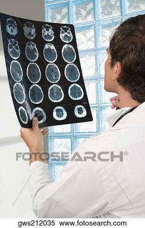 Male doctor examining an X-Ray report View Large Photo Image Stock Photography - Male doctor examining an X-Ray report. Fotosearch