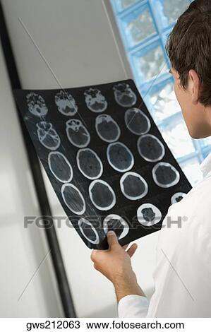 Side profile of a male doctor examining an X-Ray report View Large Photo Image Stock Image - Side profile of a male doctor examining an X-Ray report. Fotosearch