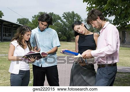 Four university students standing and discussing in a lawn View Large Photo Image Stock Photography - Four university students standing and discussing in a lawn. Fotosearch