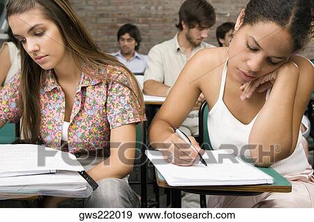 University students studying in a classroom View Large Photo Image Stock Photo - University students studying in a classroom. Fotosearch