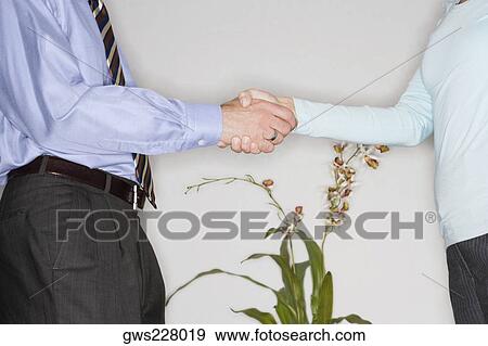 Mid section view of a businessman and a businesswoman shaking their hands View Large Photo Image Stock Photo - Mid section view of a businessman and a businesswoman shaking their hands. Fotosearch