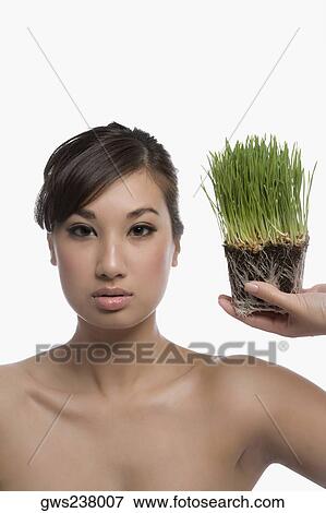 Portrait of a young woman holding wheatgrass View Large Photo Image Stock Photo - Portrait of a young woman holding wheatgrass. Fotosearch