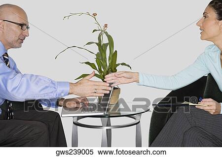 Businessman and a businesswoman shaking their hands View Large Photo Image Stock Photography - Businessman and a businesswoman shaking their hands. Fotosearch