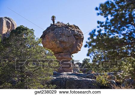 Low angle view of rock formations in a forest, Sierra De Organos, Sombrerete, Zacatecas State, Mexico View Large Photo Image Stock Photo - Low angle view of rock formations in a forest, Sierra De Organos, Sombrerete, Zacatecas State, Mexico. Fotosearch