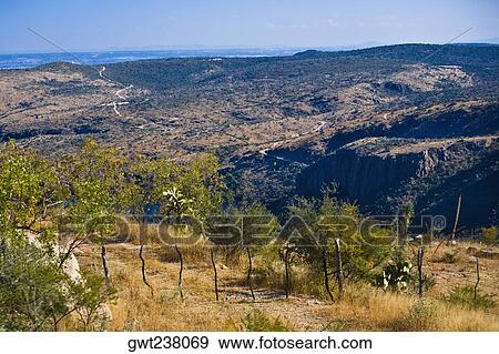 Panoramic view of a landscape, San Jose De Gracia, Aguascalientes, Mexico View Large Photo Image Stock Photo - Panoramic view of a landscape, San Jose De Gracia, Aguascalientes, Mexico. Fotosearch