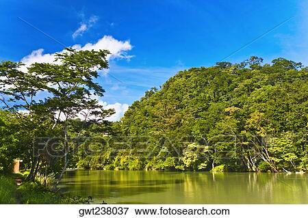 River passing through a forest, Agua Azul Waterfalls, Chiapas, Mexico View Large Photo Image Stock Photo - River passing through a forest, Agua Azul Waterfalls, Chiapas, Mexico. Fotosearch