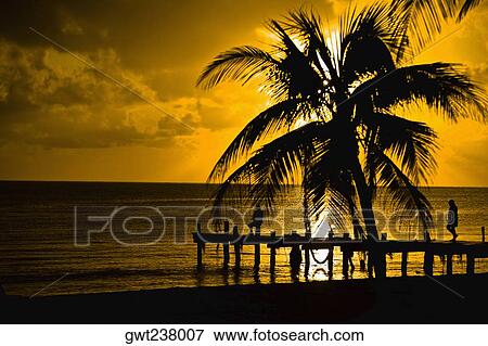 Silhouette of a pier and a palm tree at a seaside, Punta Allen, Quintana Roo, Mexico View Large Photo Image Stock Photo - Silhouette of a pier and a palm tree at a seaside, Punta Allen, Quintana Roo, Mexico. Fotosearch