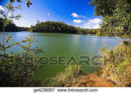 Trees at the lakeside, Lagunas De Montebello National Park, Chiapas, Mexico View Large Photo Image Stock Photo - Trees at the lakeside, Lagunas De Montebello National Park, Chiapas, Mexico. Fotosearch